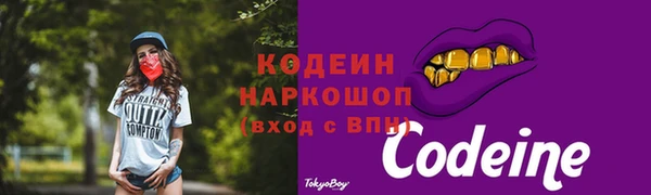 винт Абаза