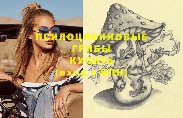 МДПВ Абинск