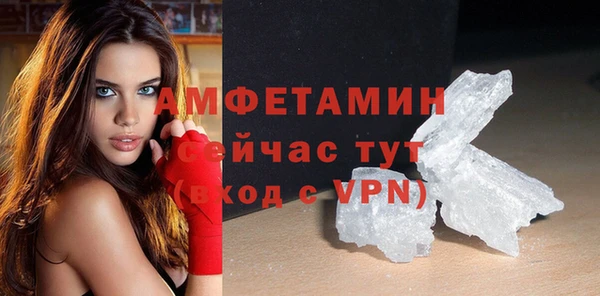 винт Абаза